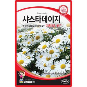 세계종묘 샤스타데이지 씨앗 2000립 다년생 데이지 꽃씨 종자
