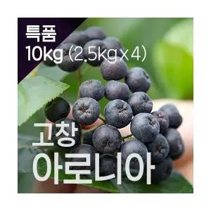 고창장수베리 [특품/트레이포장] 고창 아로니아 생과 10KG 꼭지 줄기제거