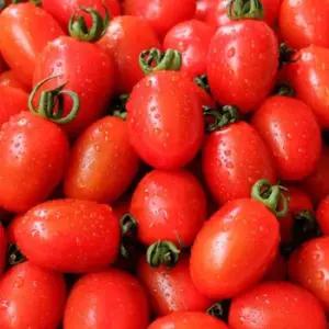 Fresh 대추 방울토마토 5kg 중소과