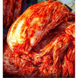 배추 업소용 종가집 썰은 김치 10kg