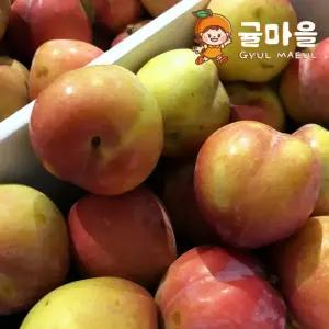 귤마을 신선한 자두 5kg 대과