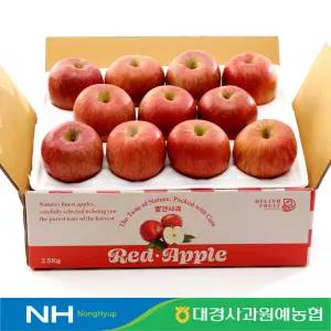 [대경사과원예농협]당도선별 햇사과 2.5kg 13과내 중소과