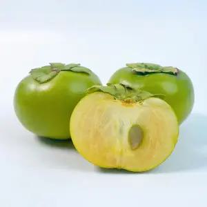 시원하고 달콤한 태추단감 배단감 2kg 중과 (11-13과)