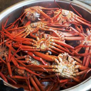 포항 구룡포 제철 프리미엄 홍게 3kg 10마리