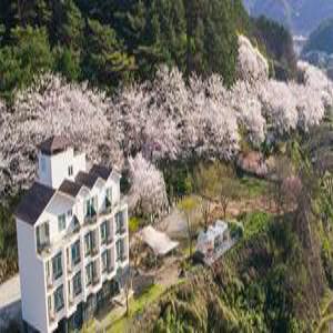 [경남] 하동 지리산팔베개펜션(경남펜션/하동펜션)