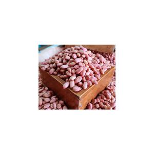 국내산 창녕 햇땅콩 알땅콩 깐땅콩 생알땅콩 볶음용 조림반찬용 남지생땅콩500g x2