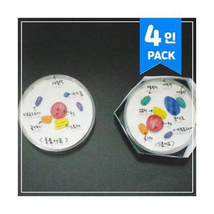 세포의구조 4인키트