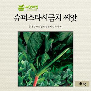 KS종묘 슈퍼스타시금치 씨앗 40g 추대 강하고 잎이 진한 다수확 우수 품종 종자