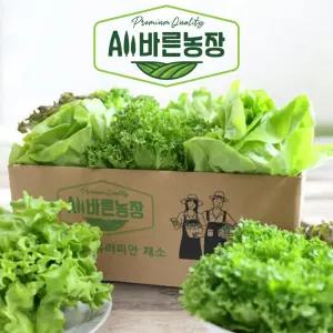 [올바른농장] 무농약 친환경 프리미엄 유러피안 샐러드 모듬 채소 1kg (3종 랜덤)