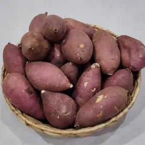 해남 꿀고구마 한입 10kg
