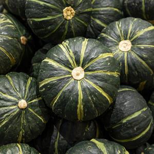 친환경 제주 유기농 미니 단호박 1kg 밤호박 보우짱