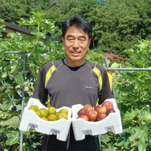 [천혜농원] 고흥 무농약 꿀 무화과 홍무화과 1kg (9/11부터 순차발송)