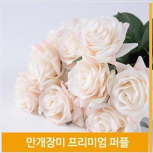 [셀러허브]조화 꽃 만개 장미 실크플라워 퍼플엣지파우더 소품 (S7702537)