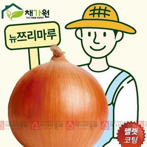 아시아종묘 씨앗 양파 뉴쯔리마루 500립 펠렛