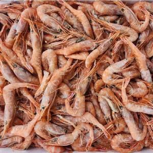 [웰빙미래]독도홍새우 울진홍새우  홍생새우 생새우 1kg 한박스 튀김용 구이용 찜용 각종찌게용