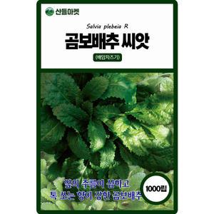 산들마켓 곰보배추 씨앗 1000립 톡 쏘는 향이 강한 국내산 배암차즈기 품종