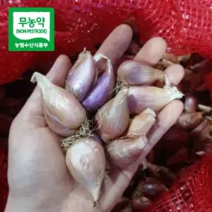예천 의성다인 명품쪽파종구 1kg 사계절용씨 종자 쪽파 무농약앗 씨앗