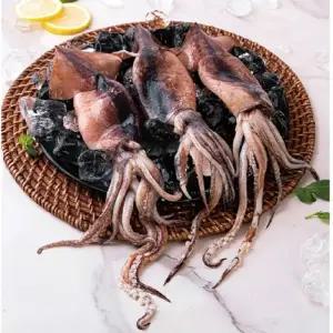 수산천하 더 커진 국내산 손질 통오징어 14미