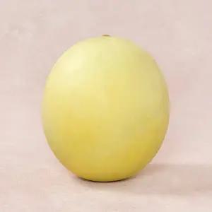미국산 허니듀 메론 1.8kg