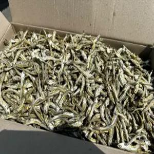 [명화씨푸드] 고추장 국물 고바멸치 1.5kg
