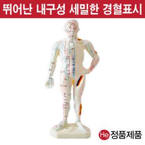동인형 침구 26cm 0101ZY 사람인체구조 이끼 지압봉 요골 척골 인체해부도 고관절 경혈 얼굴침술