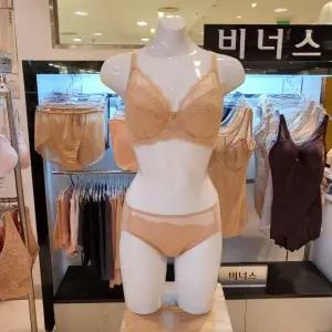 [대구백화점] [비너스]등살커버 풀컵 보정브라 헴팬티세트(VBRQ863B VPTQ863H SK RD BK)