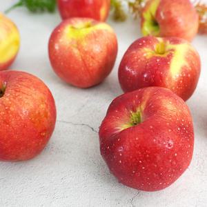 [더조은푸드] 제철사과 경북 햇 홍로 사과 (정품) 2kg