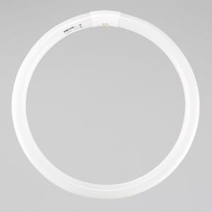 40W FCL 주광 LED 램프 10팩 세트