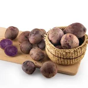 GAP인증 국내산 포슬포슬 자영 감자 10kg (중소)