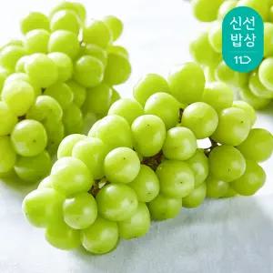 [품질보장] 2025년 수확 하우스 샤인머스켓 2kg 3수 / 에어셀 포장
