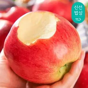 경북 산지수확! 아삭달콤 홍로사과 가정용 4kg / 19-21과