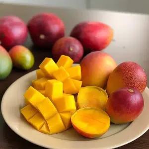 [제주 섬][프리미엄 제주산] 미니 애플망고 가정용 500g 1kg 2kg