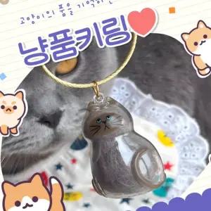 보관 키링 고양이 털 기억 캡슐 투명 메모리 추억 메모리얼 키홀더
