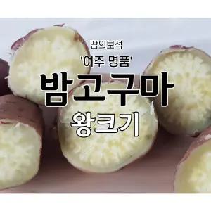 2025년산햇여주밤고구마/꿀/호박/밤고구마/왕,튀김용/