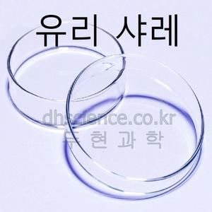 두현과학 유리샬레 (접시 + 덮게) 9cm 12cm  선택구매/유리 샤레 세균 배양 페트리접시