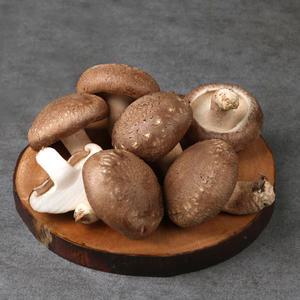 100% 국산 유기농 표고버섯 1kg/2kg(파지)