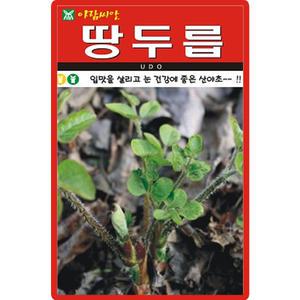 아람종묘 땅두릅 씨앗 200립 두릅씨 약초 산야초 종자