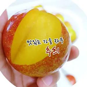 김천제철자두 후무사/도담/추희  2kg/3kg (왕왕/왕특/특/대 ) 산지발송/첫출하