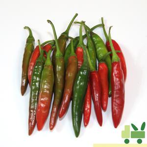 반홍청양 1Kg
