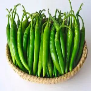 국내산 청양고추(특) 1kg (매운고추),시세적용(특)
