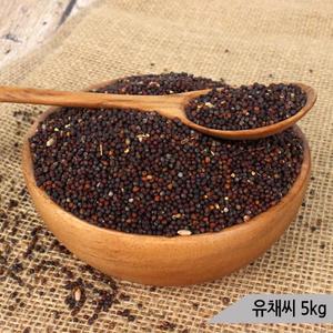 건강알곡 유채씨 5kg 앵무새 햄스터 모이 간식 사료