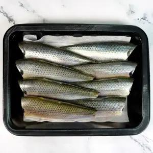 서해안 가을 전어회(필렛) 300g (7~12미)