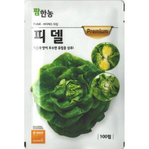 [모종심는아빠] 식감과 맛이 우수한 유럽상추 피델 종자100립 버터헤드