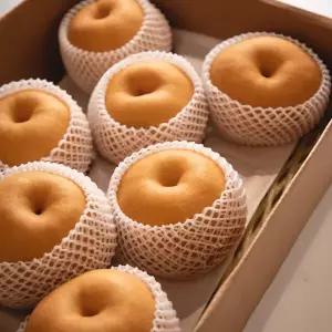 [과일꾼] 25년수확 햇배 나주배 가정용 3kg 4-8과