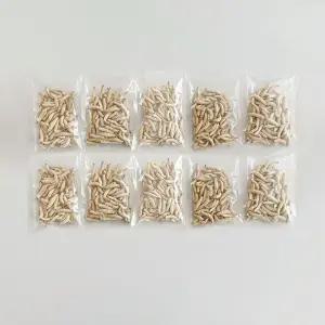 왁스웜월드 프리미엄 동결건조 왁스웜 계곡낚시용 떡밥 산천어 꺽지 특효 꿀벌부채명나방 천연미끼 계류 민물낚시 필수템, 100g
