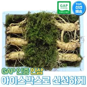 [GAP 인증] 6-5년근 인삼 아이스박스 선물세트, 농부가 선별한 수삼을 신선하게 보내드려요, 추석 한가위 명절 선물, 상견례 첫인사
