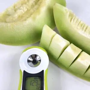 실속형 허니듀 멜론 5-6수 12kg내외