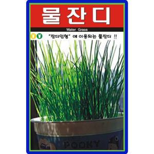아람종묘 물잔디 씨앗 2000립 잔디인형만들기 물잔디씨 종자