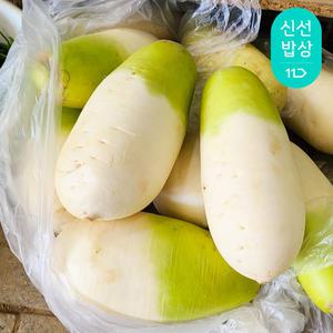 [품질보장] 달큰아삭 국내산 무 김장 동치미 5kg