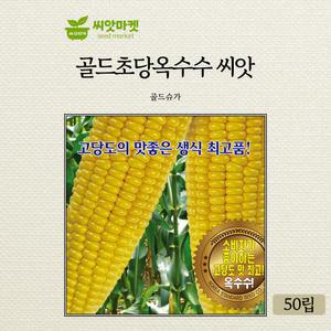 KS종묘 골드초당 옥수수씨앗 50립 초당 옥수수씨 종자